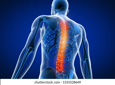 spine surgery & therapy